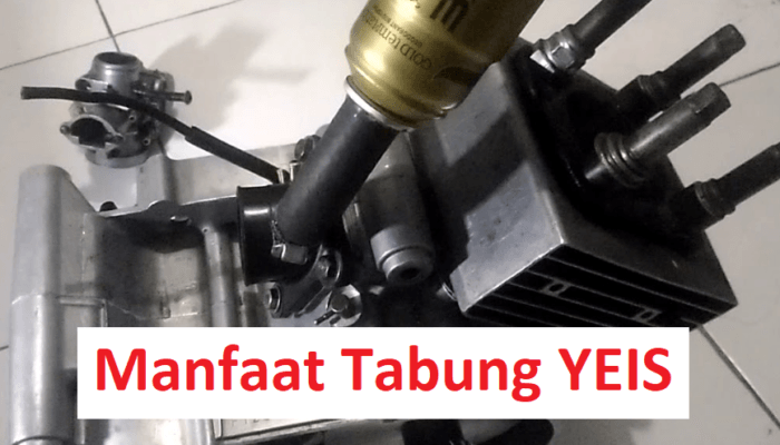 manfaat tabung yeis