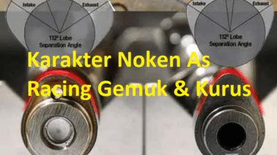 Noken As Racing Gemuk dan Kurus, Ini Perbedaan Karakternya!