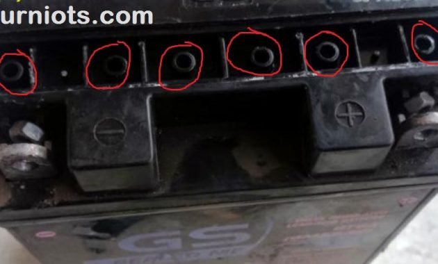 Cara Memperbaiki Aki Kering Dengan 9 Langkah Mudah 5