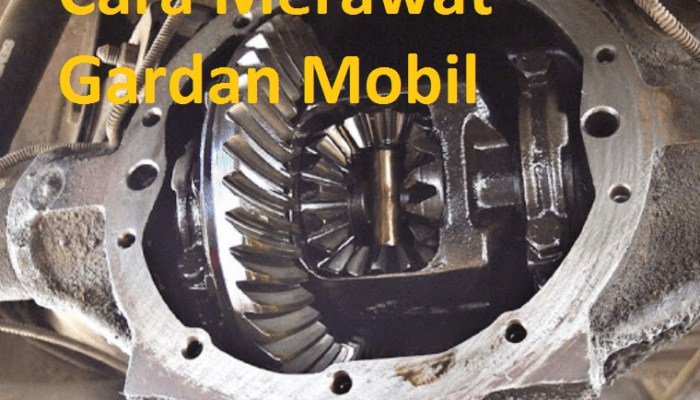 How to Maintain Your Car Differential and Prevent Costly Damage