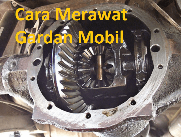 Cara merawat gardan mobil