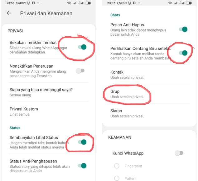 Cara Whatsapp Tidak Terlihat Online