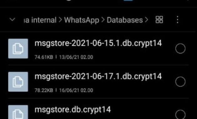 2 Cadangan Chat Whatsapp Untuk Mengembalikan Pesan Chat