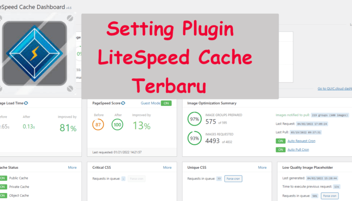Cara Setting LiteSpeed Cache Plugin Wordpress