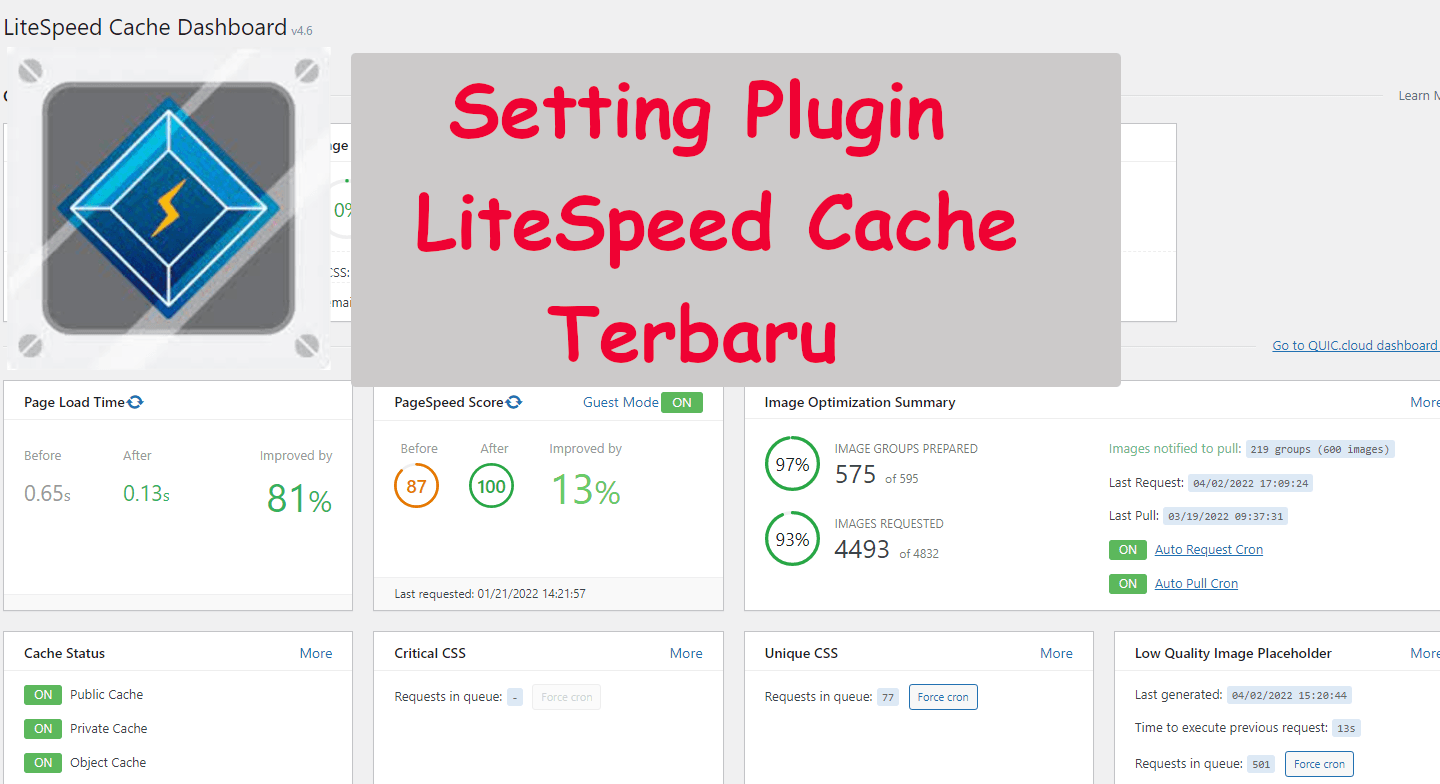 Cara Setting LiteSpeed Cache Plugin Wordpress